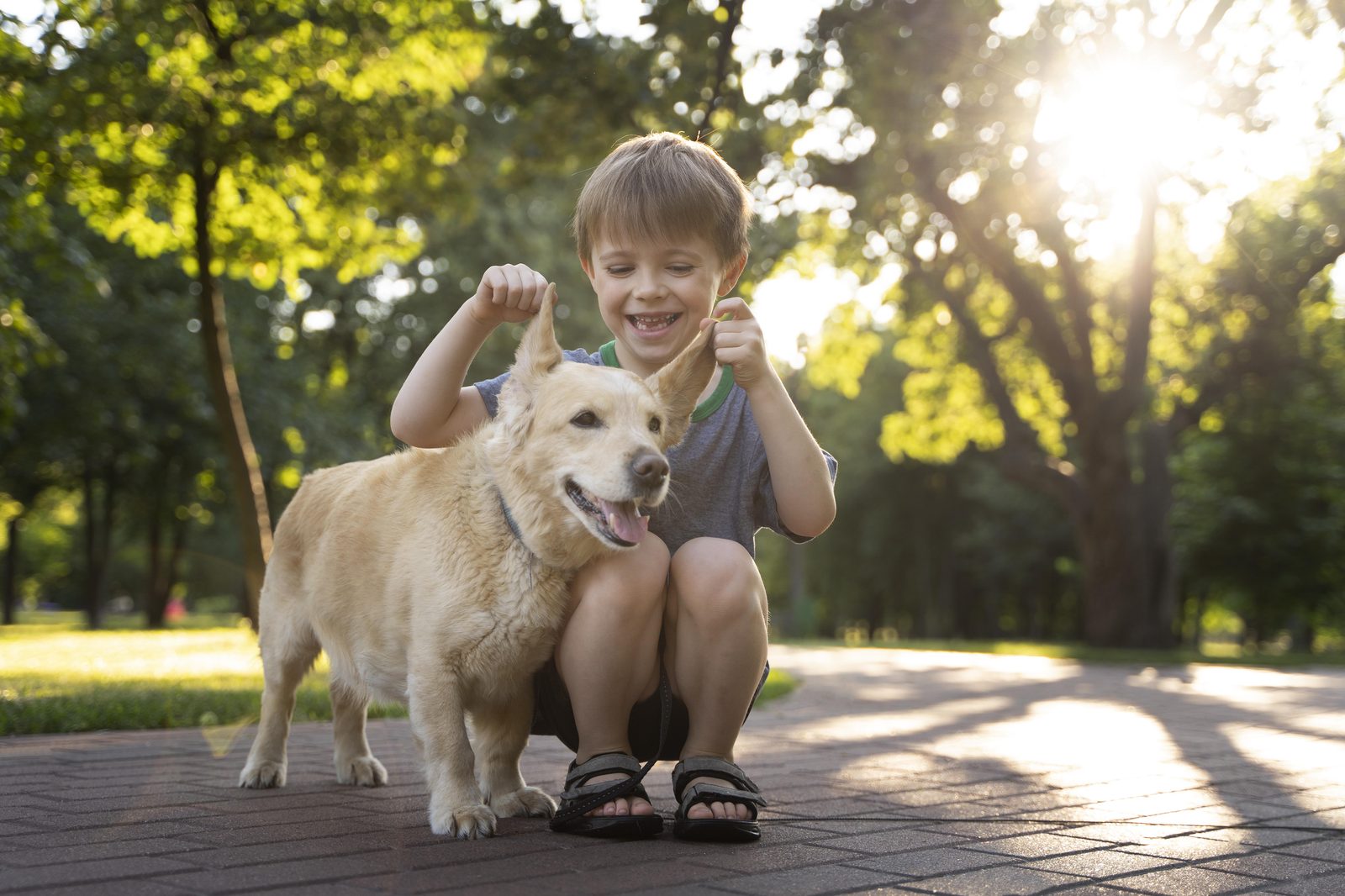 A boy kneeling beside his rescued dog in a sunlit Florida park